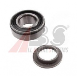 wiellagerset_achteras